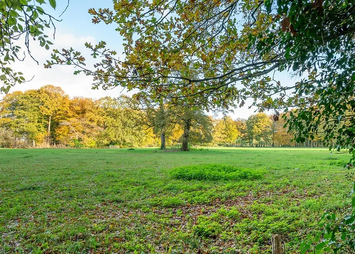 Hotel De Zwaluwenburg 3*